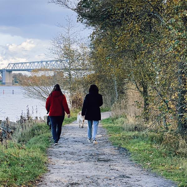 Lillebæltsstien i Middelfart