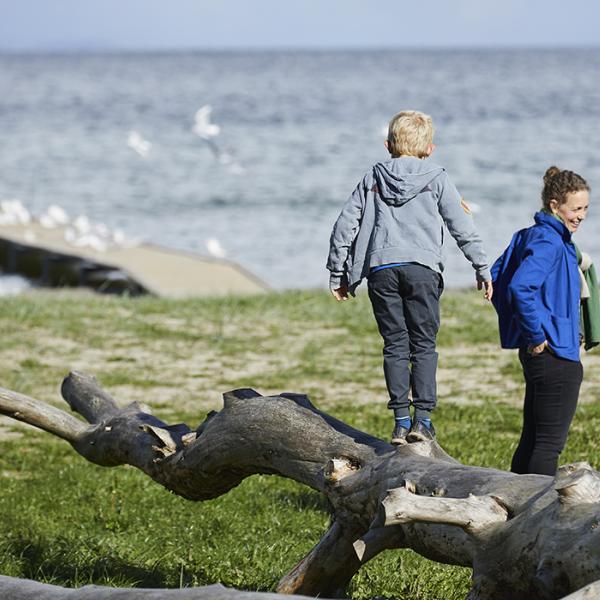 Stranden ved Vejlby Fed - mulighed for leg og læring