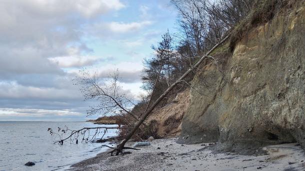 Røjle Klint i Middelfart er et af de bedste steder i landet at opleve, hvad der skete i Danmark under istiderne