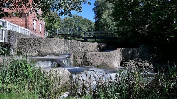 Fisketrapperne ved Brænde Mølle