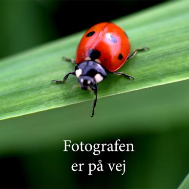 Fotografen er på vej