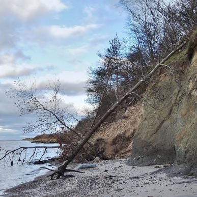 Røjle Klint i Middelfart er et af de bedste steder i landet at opleve, hvad der skete i Danmark under istiderne