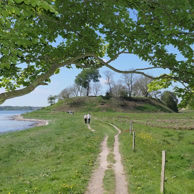 Tag en vadretur på Hindsgavl Halvøen - her kommer du fori Hindsgavl Voldsted