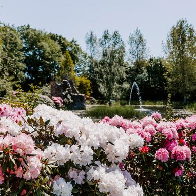 Åben have på Humlemagasinet i Harndrup - Middelfart