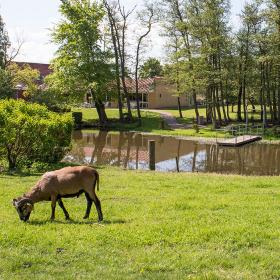 Fjelsted Skov Hotel & Konference - Ejby