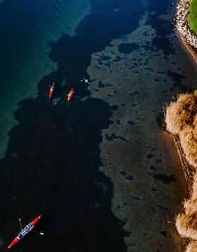 Kajaktur på Fænøsund i Middelfart