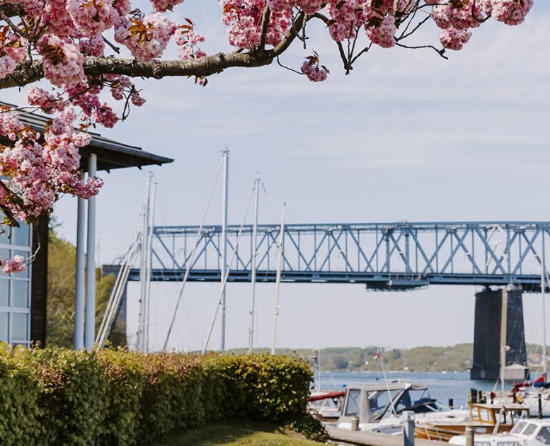 Forår ved Kongebro Havn i Middelfart