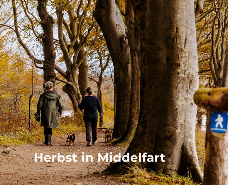 Wandern auf dem schönen Herbstweg